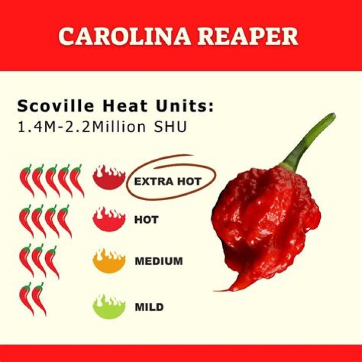 Carolina Reaper Scoville Units: The Spiciest Pepper on Earth