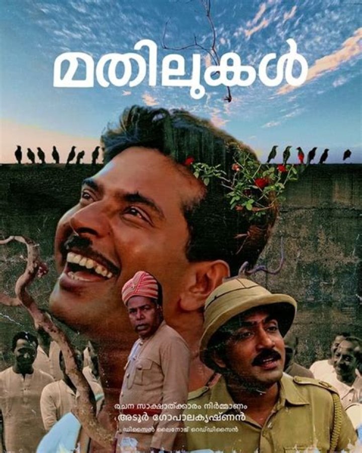 Discover the World of Malayalam Y Video: Your Ultimate Guide