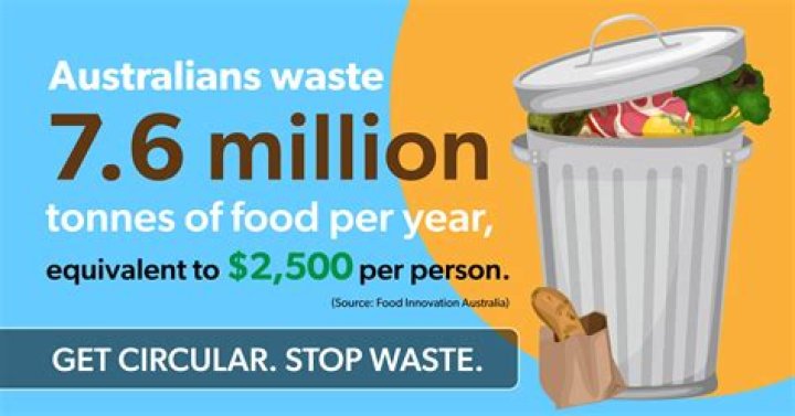 Discover Too Good To Go Florida: A Sustainable Solution to Food Waste