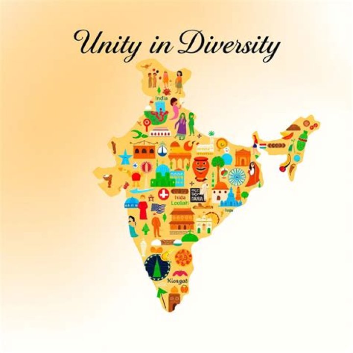 Discovering My Desi Org: A Cultural Journey