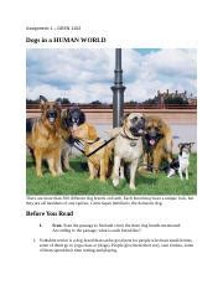 Exploring the Fascinating World of Dogxxxxxx