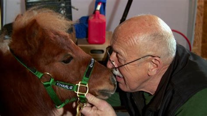 Exploring the Life and Legacy of Dr. Pol: A Renowned Veterinarian