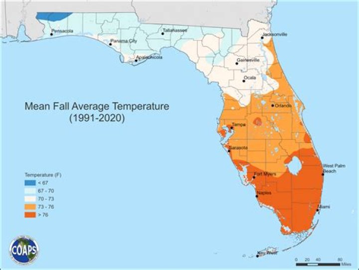 Exploring the Vibrant Climate of Tampa: A Comprehensive Guide