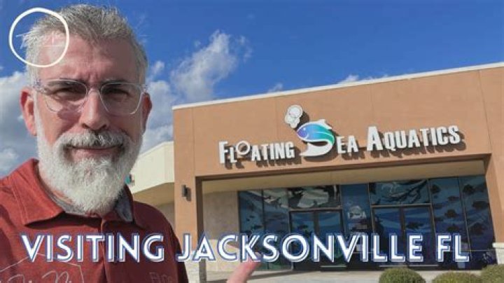 Exploring the Weather Dynamics of Jacksonville, FL