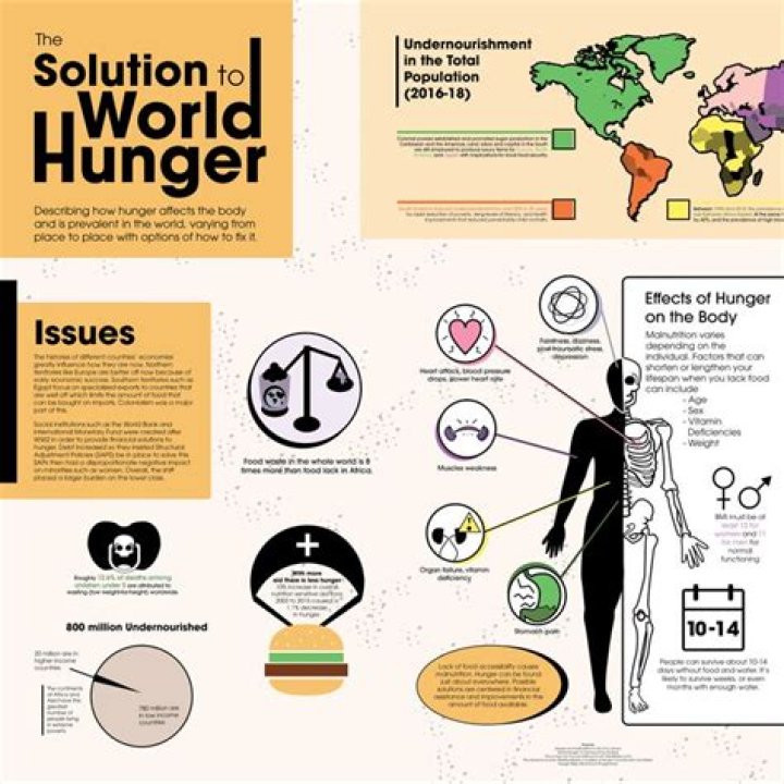 Finding a Temporary Replacement for Your Hunger: A Guide to Satisfying Cravings