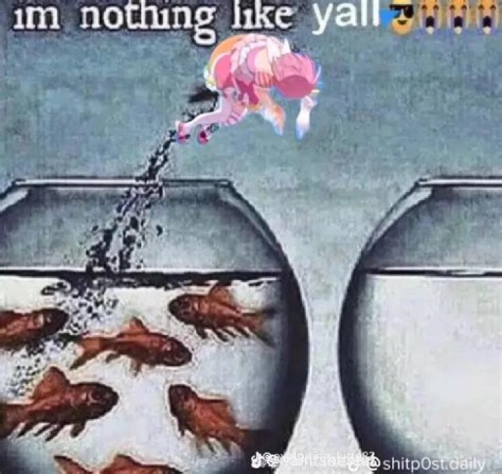 I'm Nothing Like Yall: A Comprehensive Exploration of Individuality and Self-Expression