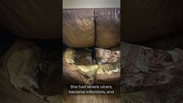 Lacey Fletcher Crime Scene Pics: The Truth Behind the Headlines