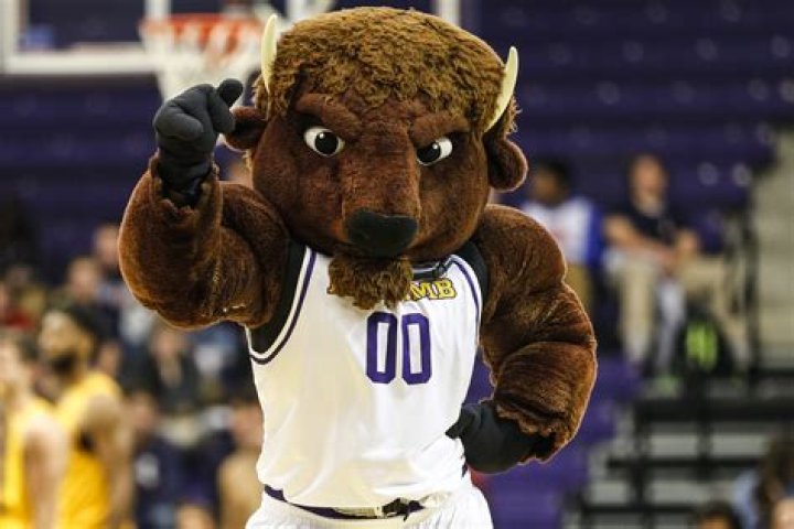Lipscomb Basketball: A Deep Dive into a Legacy of Excellence