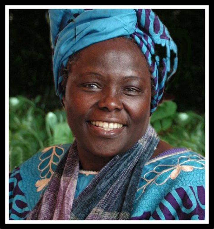 Ms. Sethi: A Comprehensive Look Into the Life and Achievements of a Remarkable Woman