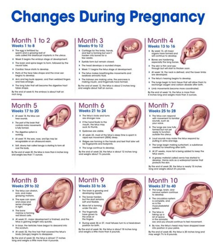 Rihanna's Joyous Journey: Pregnant in October 2024