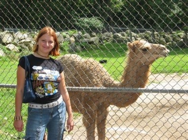 Southwick Animal Farm Mendon MA: A Family-Friendly Destination for Nature and Adventure