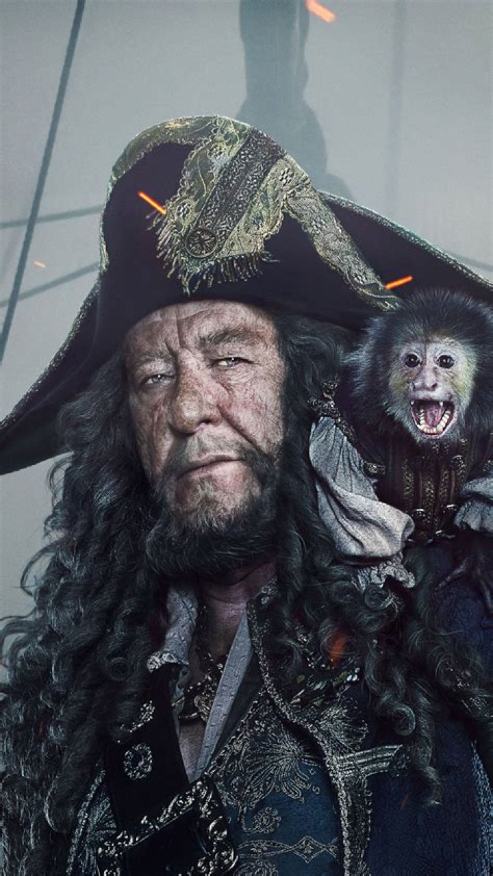 The Enigmatic Captain Barbosa: A Tale of Piracy and Adventure
