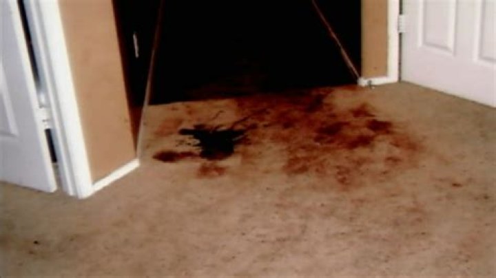 The Role of Visual Evidence in the Travis Alexander Case