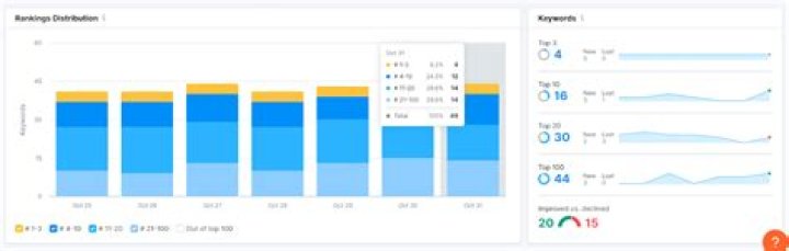 Unlocking Success with Search Engine Ranking Report Software