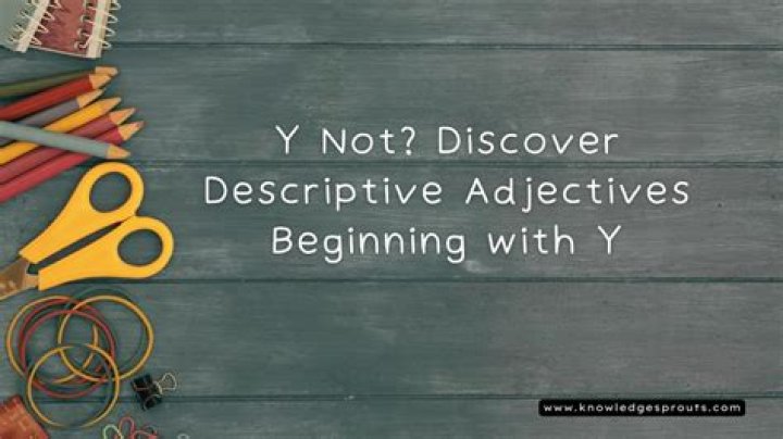Unlocking the Power of Y Video: Your Ultimate Guide