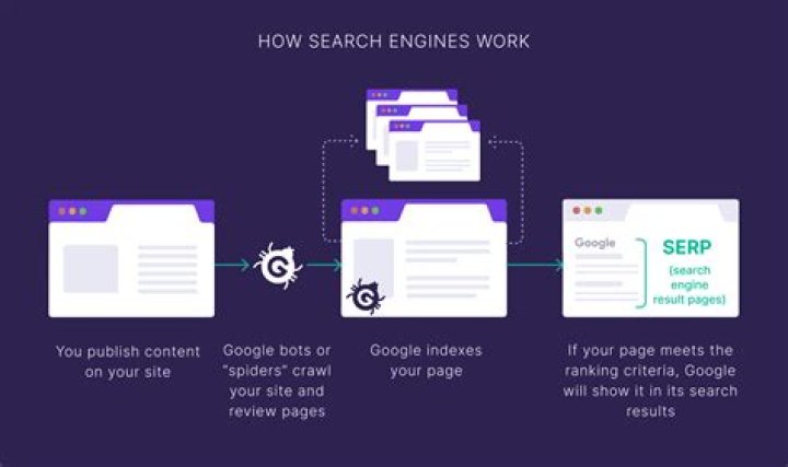 Unlocking the Secrets of Search Engine Rank Reports
