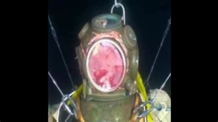 Unraveling the Mystery of the Bi4 Dolphin Инцидент