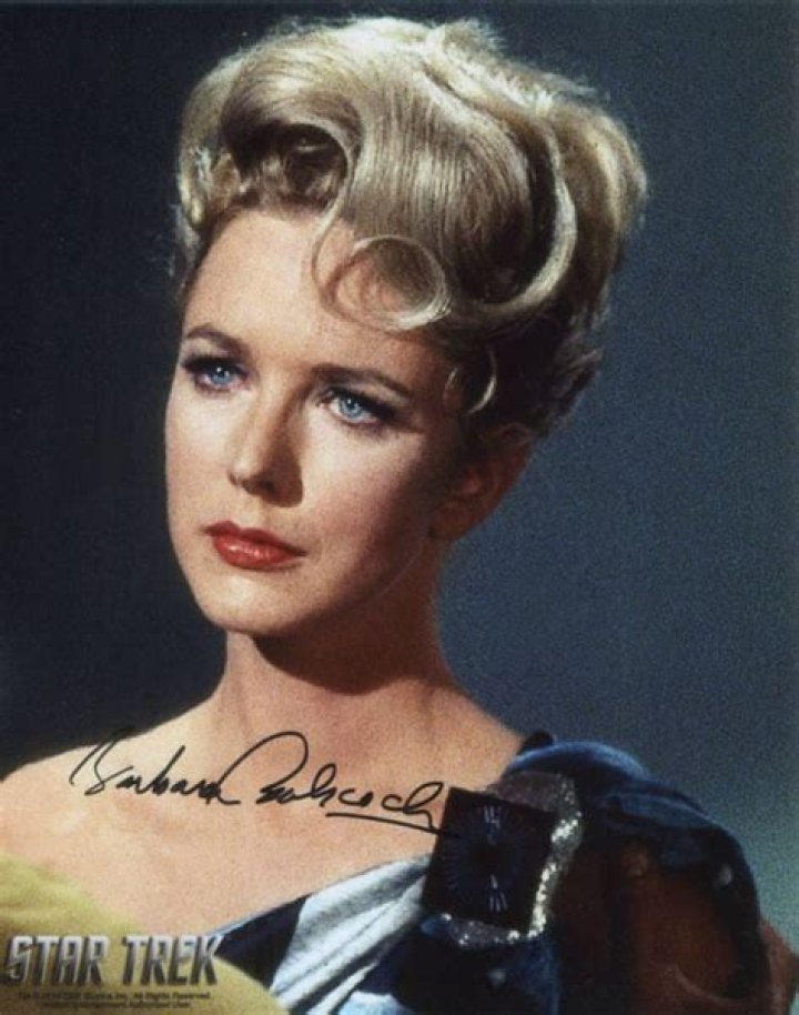 Unveiling the Life and Legacy of Barbara Babcock