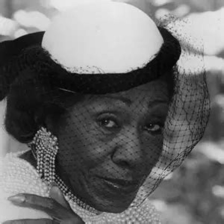 Unveiling the Wealth of a Beloved Star: Helen Martin Net Worth