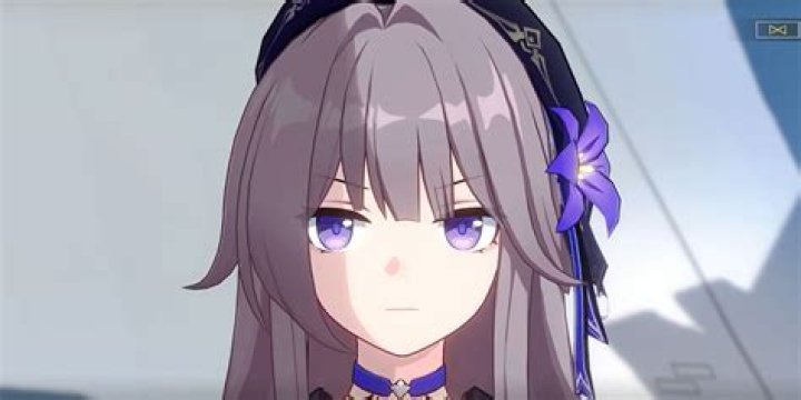 Unveiling the World of Maplaster: A Comprehensive Guide