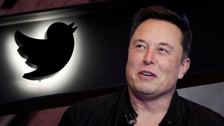 When the Unimaginable Happens: Elon Musk Buys Google